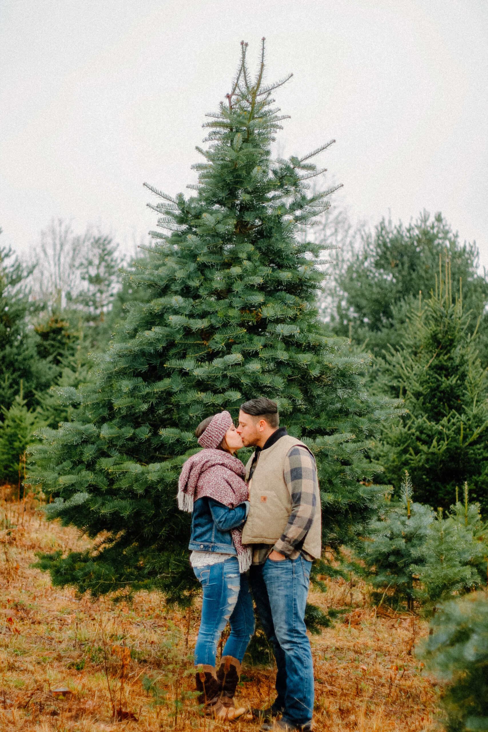 Couple browsing Christmas trees during a holiday photo session in Horseheads, NY