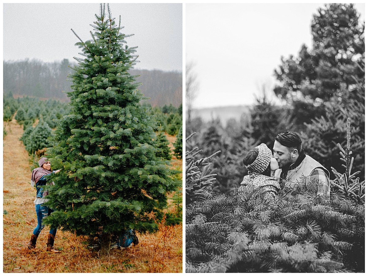 Couple carrying a freshly cut Christmas tree at a holiday tree farm in Horseheads, NY