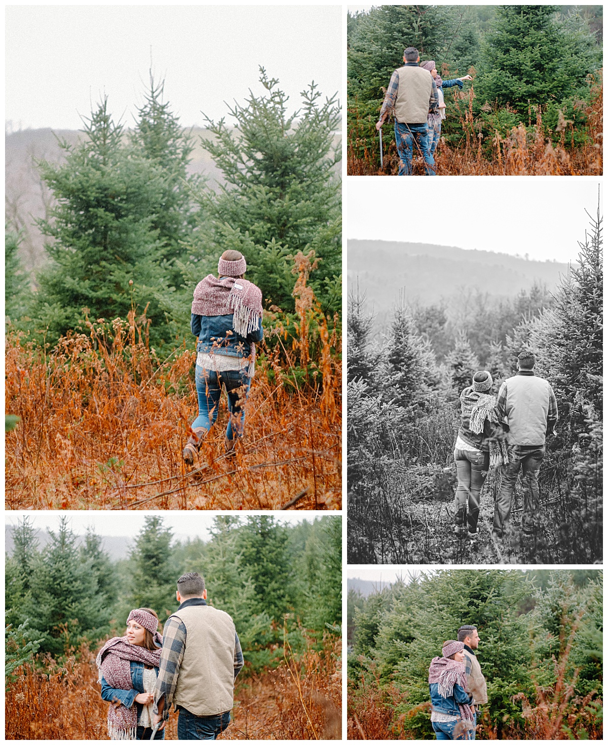 Couple browsing Christmas trees during a holiday photo session in Horseheads, NY